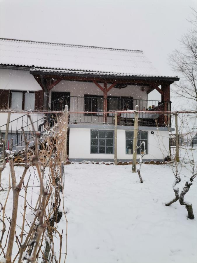 Marijana Holiday home *